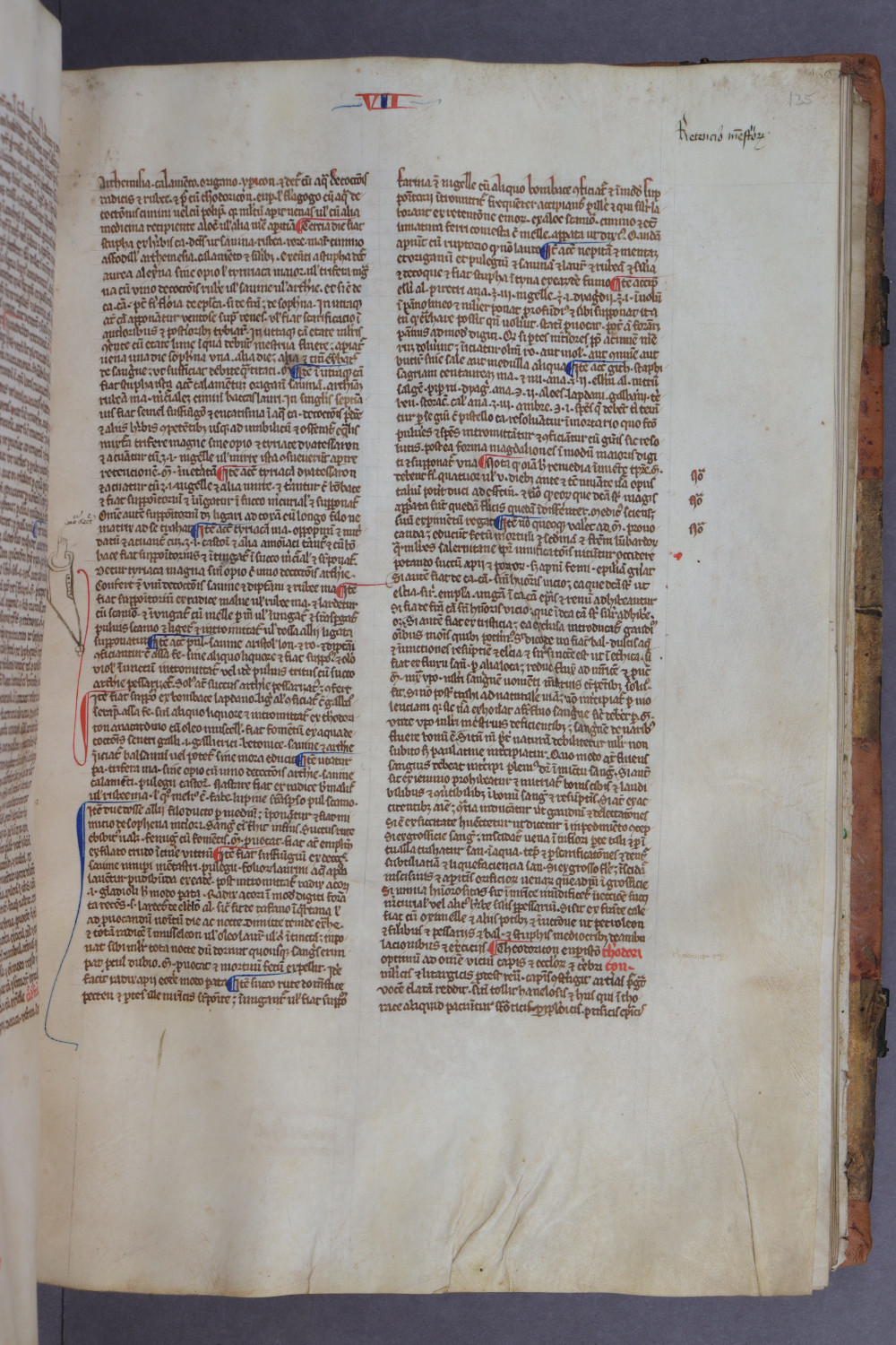 Folio 135 recto